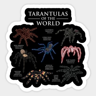 Tarantulas Of The World Sticker